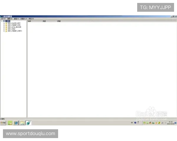 斗球电脑网页版登录流程详解让你轻松进入游戏世界