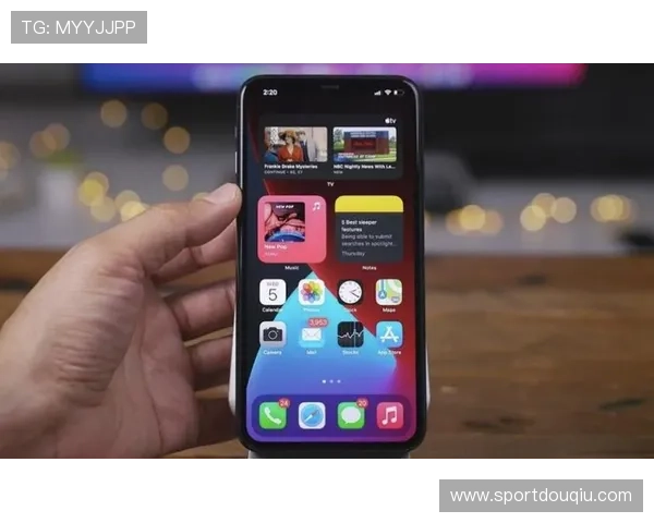 如何在苹果设备上顺利找到斗球ios版安装入口详细步骤解析