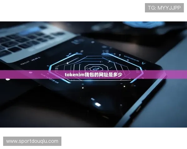 斗球电脑版官方下载及安装详细指南，解决用户所有疑问