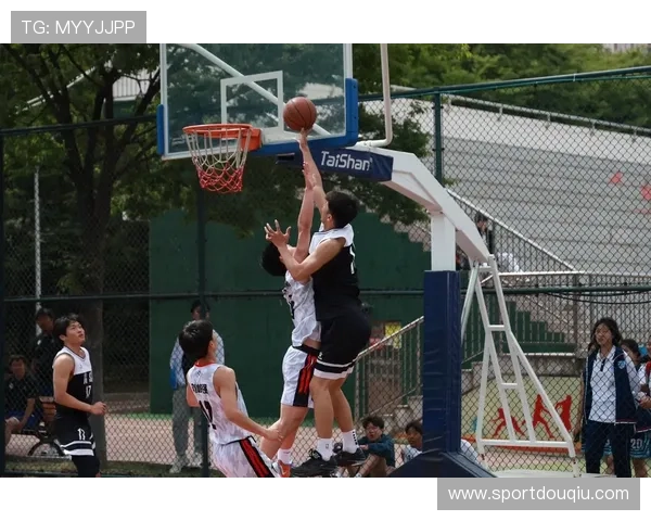 斗球直播篮球专业解说带你深入分析每一场精彩比赛