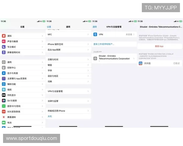 苹果用户必看斗球下载安装详细步骤及常见问题解决方案